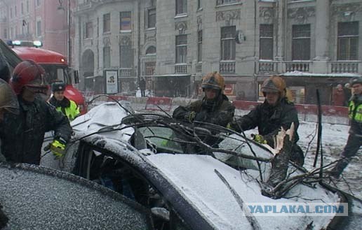 Дерево раздавило машину с человеком.