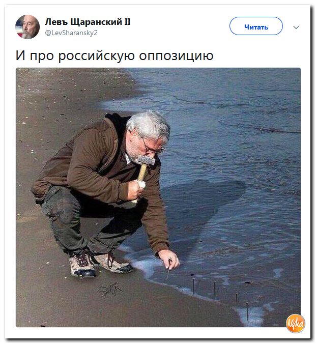 Отборнейшая политота