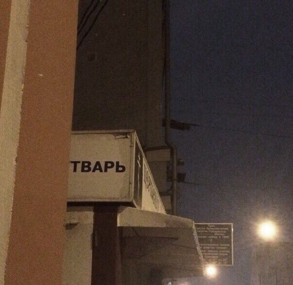 Картинки по-приколу