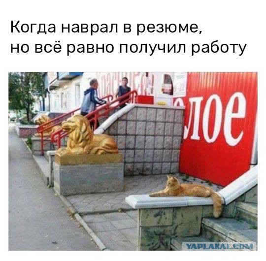 Смешные комментарии из социальных сетей 24.08.2018