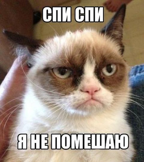 Подборка интересных и веселых картинок