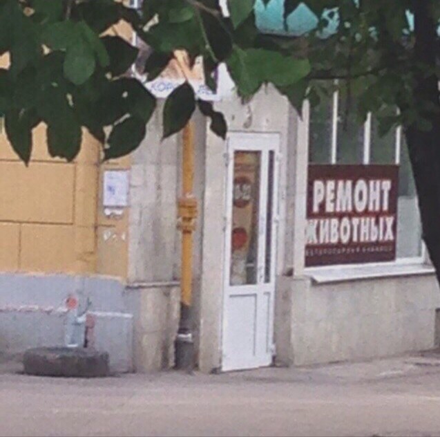 Нестандартный юмор