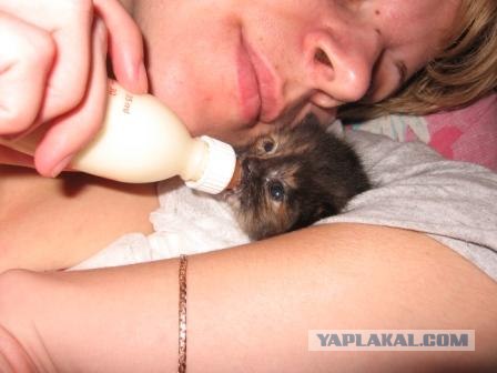Котовторник 13.12.11 - магическе числа