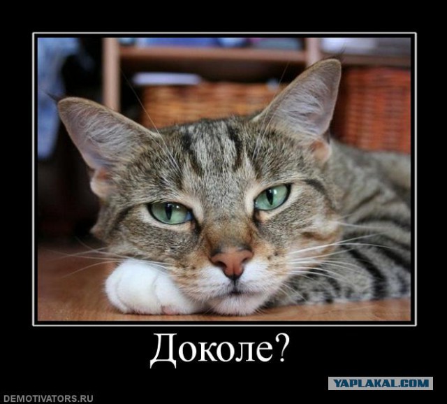 Маленькое новогоднее чудо