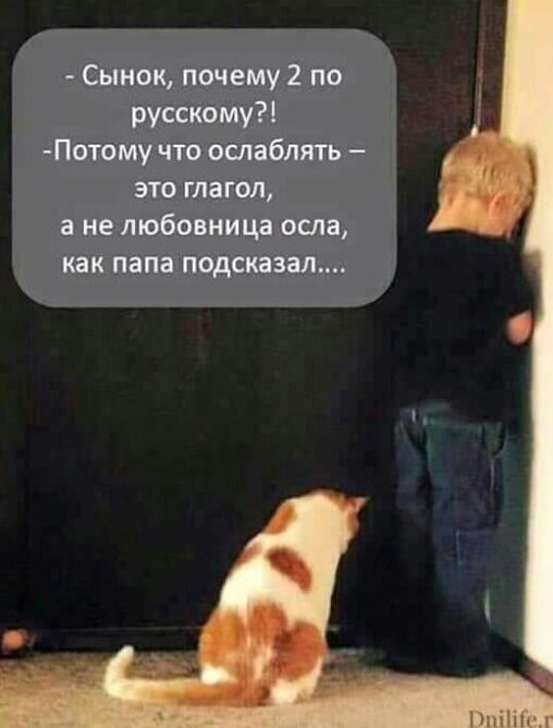 Анекдоты, истории и картинки с надписями