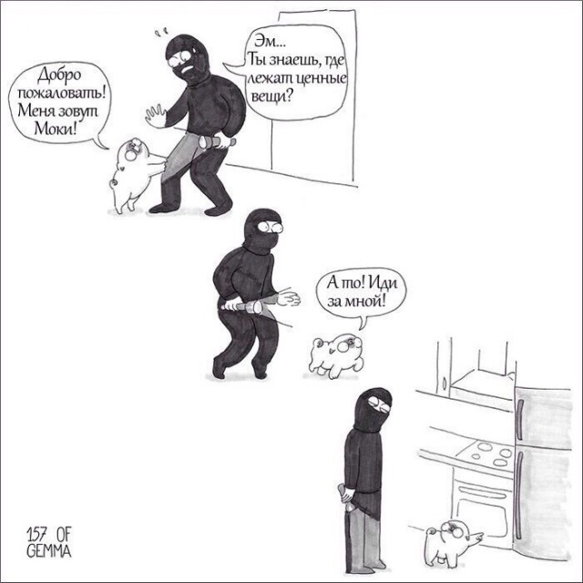 Подборка интересных и веселых картинок