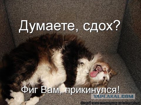 Про Алибасова, афера?
