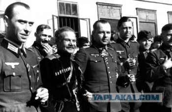 За что так не любят казаков?