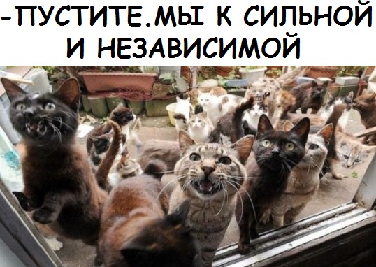 Немного картинок для настроения 16.11.19