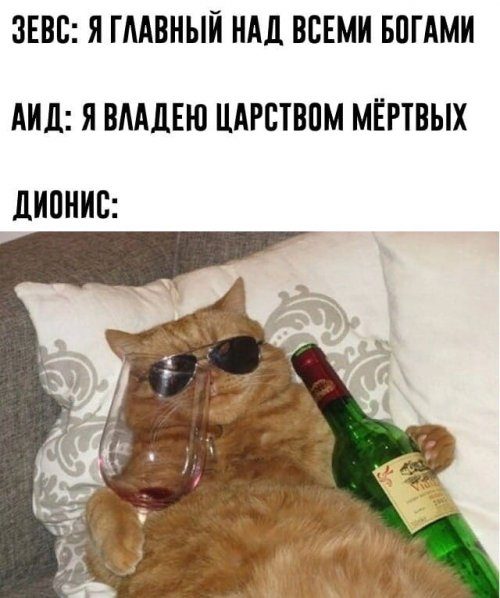 Кретинки