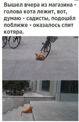 Чуток картинок! 26.12.19