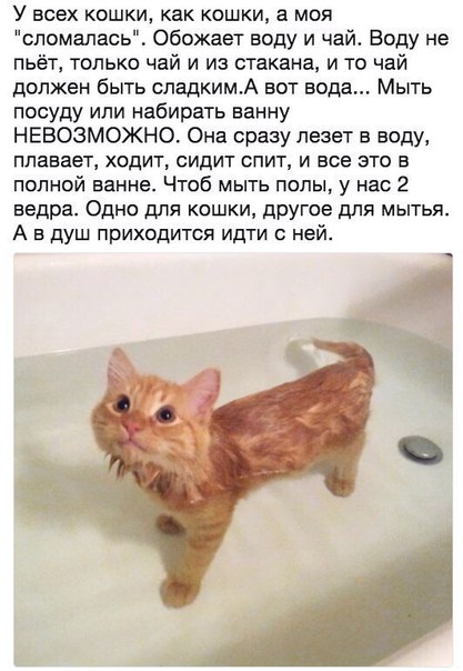 Немного картинок для настроения 29.01.20