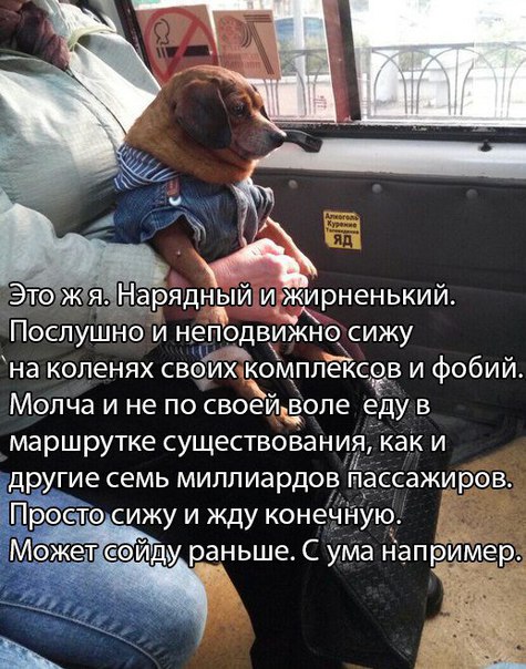 Немного картинок для настроения 04.02.20