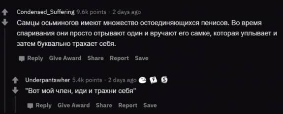 Бредзона 16.02.20