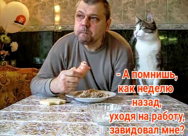 Немного картинок для настроения 31.03.20