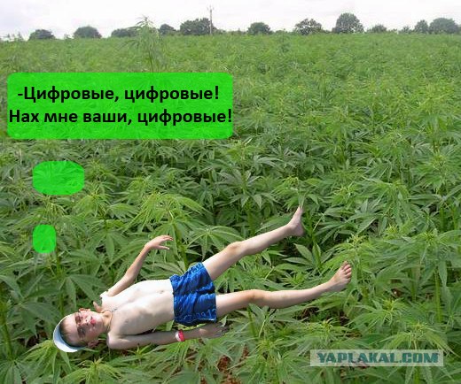 Битва фотожаберов №6.Антон на прогулке