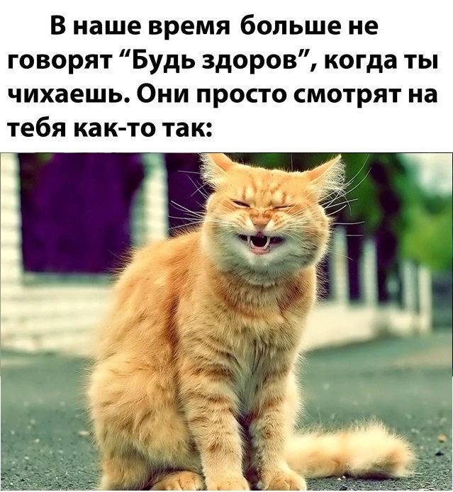 Картинки с надписями и анекдоты