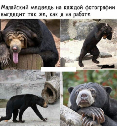 Картинки. Упоротые и не очень 21.01.2021