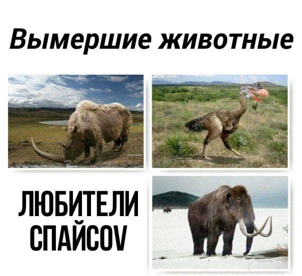 Эй вы, давно не деградировали?!