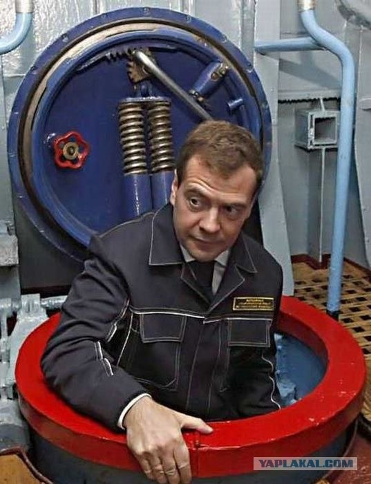 День фасоли