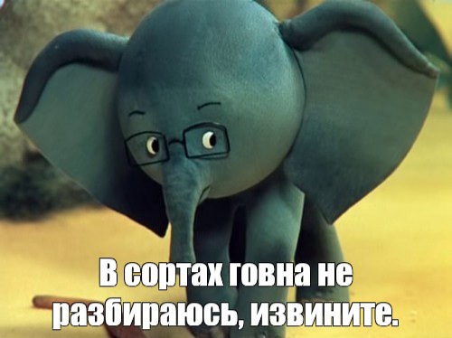 Из-за низких сборов «Майора Грома» в сети усилились призывы в поддержку фильма