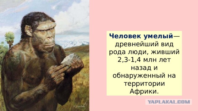 Русские, немцы, англичане и (частично) французы – один народ. Анализ 160 слов