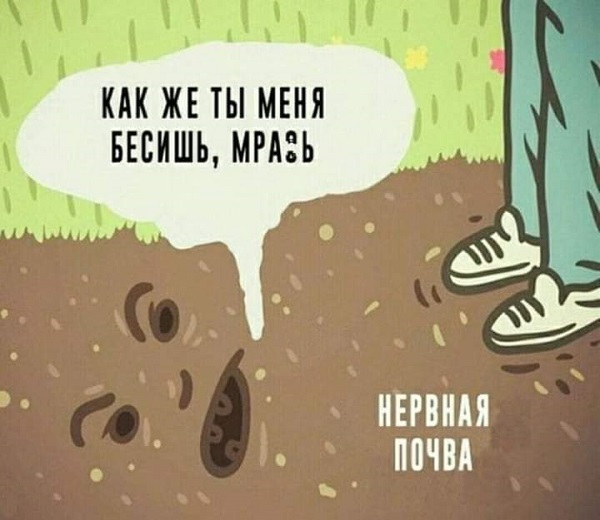 Так себе картинки 11.09.21