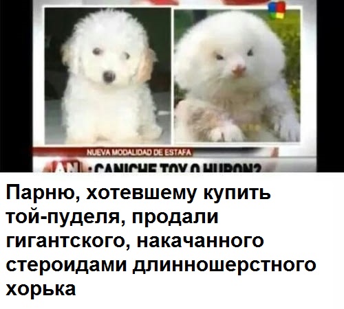 Картинки 07.11.21