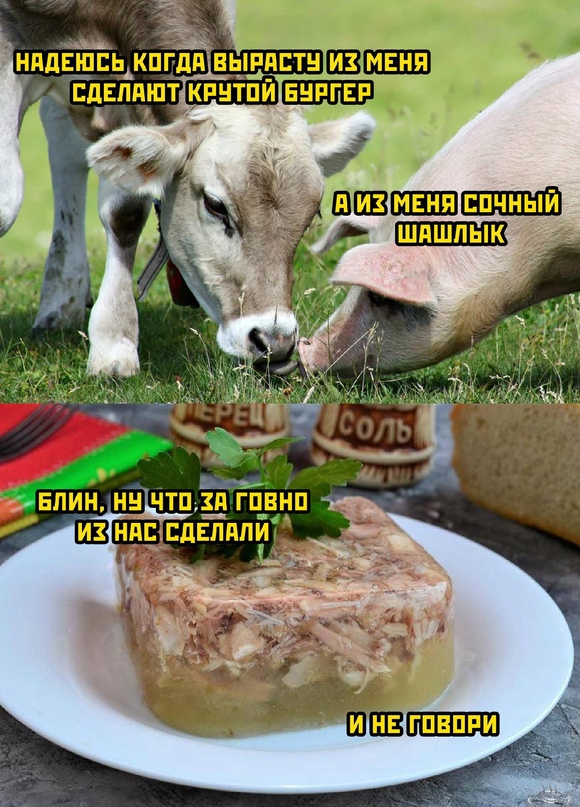 Весёлый полтишок 16.11