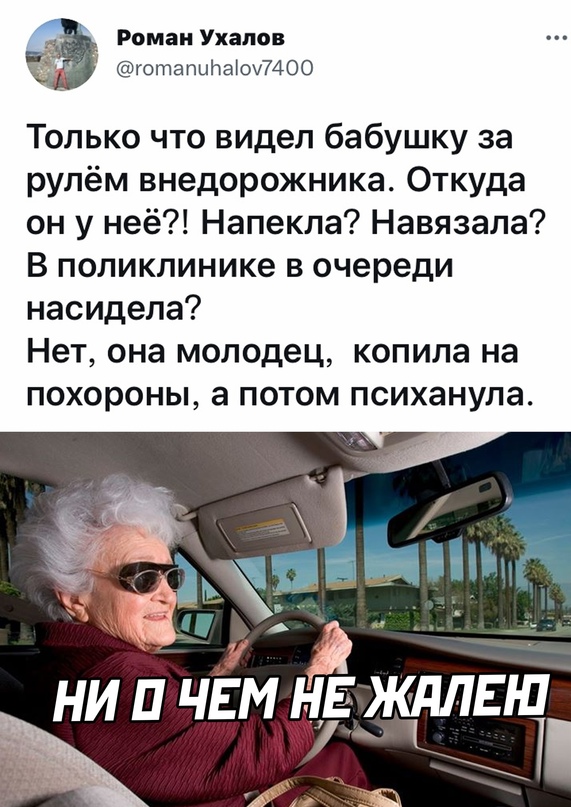 Весёлый полтишок 26.11