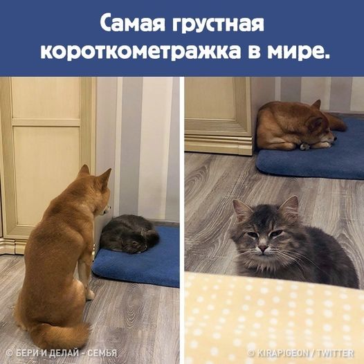 Картинки на выходные 12.12.21