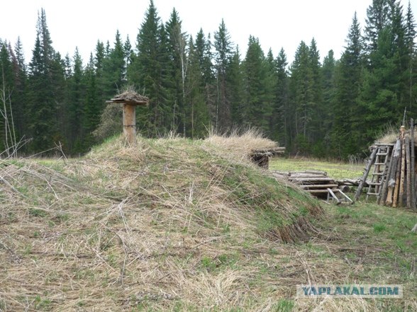 Лесное жилище