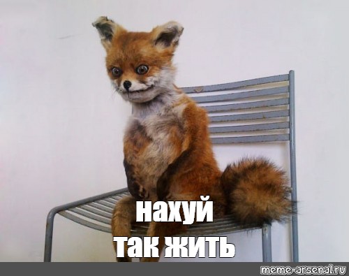 В городе Холме Новгородской области пропала 2-летняя девочка