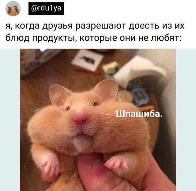 Забавные комментарии из социальных сетей (20.06.22)