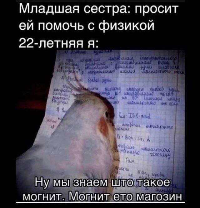 Картинки и мемы для настроения - 11