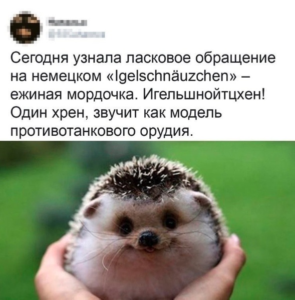 Скриншоты и комментарии из социальных сетей 17.08.22