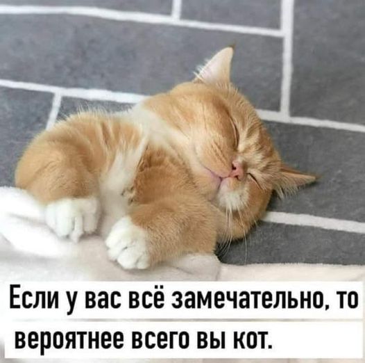 Так себе картинки 10.09.22