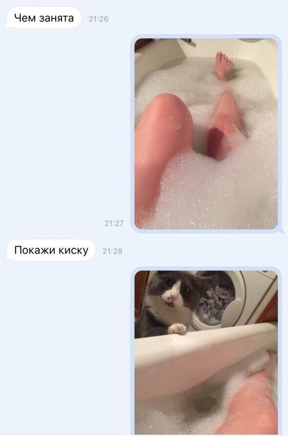 Немного баянов для настроения