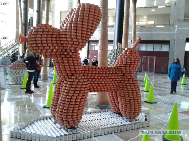 Америка для начинающих