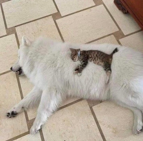 Это был тяжелый год