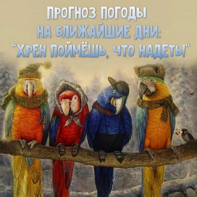 Немного картинок для настроения - 139