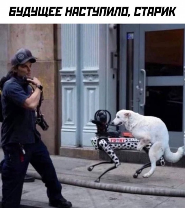 Картинки и мемы, это май-чародей всяко разно - 177