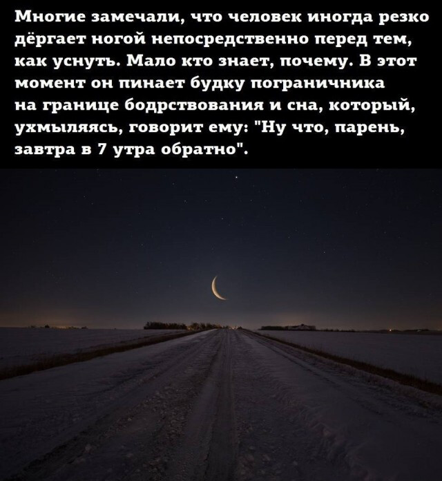 Четырнадцатая подборка самых баянистых баянов! Ностальгируем...