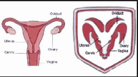 Как Майкл Джексон предупредил о 9.11.01