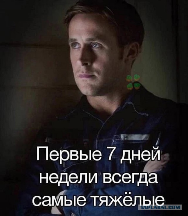 Весёлый полтишок 12.11.23