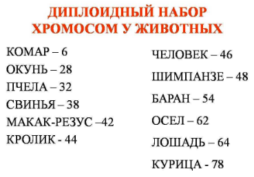 Баня, купаться, молоко