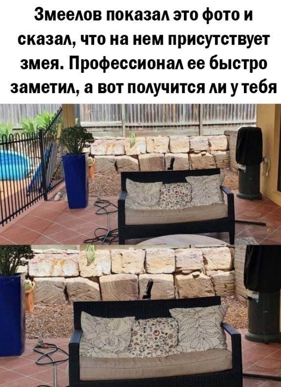 Так себе картинки 05.06.24