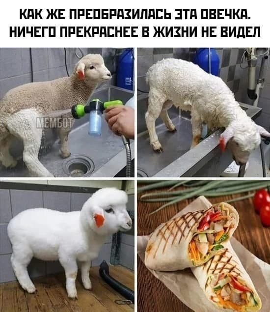 Быстрое деградирование