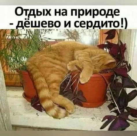 БаянЫ 3