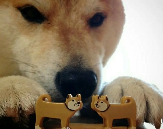 Отключать интернет по ночам ради повышения рождаемости предложили в России